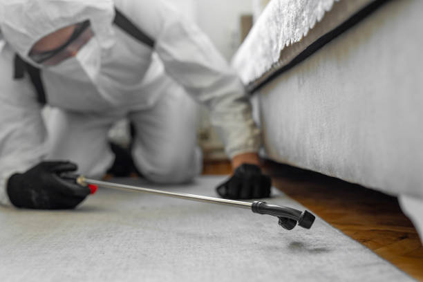 Professional Bed Bug Control technician working in Rockdale, TX