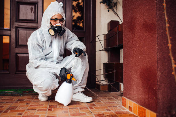 Reliable Bed Bug Control contractor in Rockdale, TX by Nex Pest Control